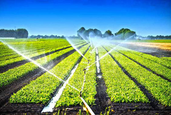 منابع آب مورد استفاده در کشاورزی